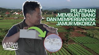 PELATIHAN MEMBUAT DAN MEMPERBANYAK JAMUR MIKORIZA  Kabar Petani [upl. by Edina]