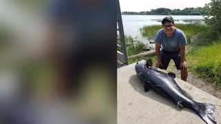 Recordbreaking fish caught in Whatcom County [upl. by Martinez]