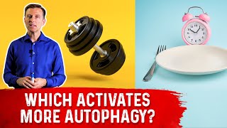 Autophagy Exercise vs Fasting [upl. by Ludba]