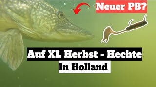 Auf XL Hechte in Holland  Herbstzeit heißt Hechtzeit [upl. by Jaan]