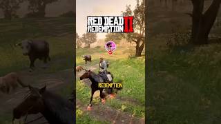 Most Useful Items in RDR2 🔥🤠 reddeadredemption2 rdr2 arthurmorgan gaming fyp [upl. by Haidebez907]