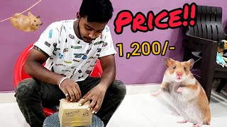 Unboxing hamster  Syrian hamster  imported hamster  cute hamster  hamster cage setup [upl. by Swaine]