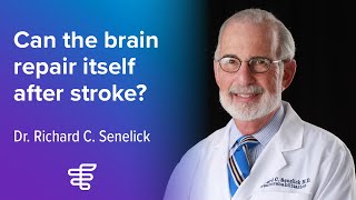 Can the brain repair itself after stroke  Encompass Health [upl. by Ainoval]