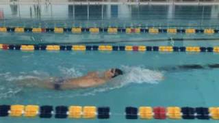 Backstroke Technique  Side View  Krayzelburg Phelps Lochte [upl. by Karina]