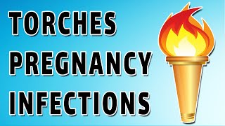 Torches Infections and Pregnancy [upl. by Loux]