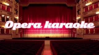 Opera karaoke La calunnia è un venticello—Il Barbiere di Siviglia [upl. by Nirej119]