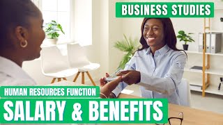 SALARY amp Fringe Benefits  HR Function  Business Studies [upl. by Eedoj]