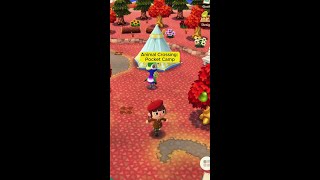 Animal Crossing Pocket Camp Complete Is Out Now shorts [upl. by Hammock]