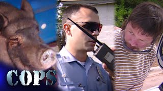 🔴 Surprising Police Discoveries Firearms Drugs and a PotBellied Pig  COPS TV SHOW [upl. by Franciscka778]