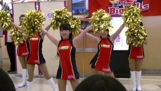 「ビッグブルズ」チアダンス！1 Japanese cheerleading [upl. by Adelind]