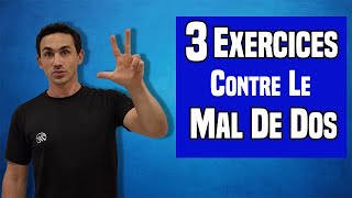 3 Exercices EFFICACES pour soulager le mal de dos [upl. by Llechtim]