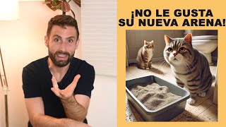 ¿Debo hacer una transición gradual para que mi gato acepte su nueva arena [upl. by Robinett]