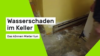 Wasserschaden und der Vermieter reagiert nicht Das können Sie tun [upl. by Nehcterg]