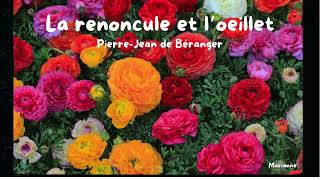 Fable La renoncule et loeillet PierreJean de Béranger [upl. by Aramois]