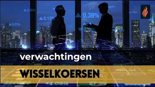 Wisselkoersen  verwachtingen [upl. by Rysler]