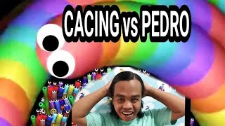 Jebak cacing besar pedro jago nya [upl. by Avirt]