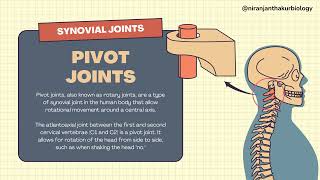 🦴Joints in the Human Body Explained 🦴  Types Functions and Examples [upl. by Melamed]