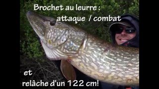 Combat et relâche dun gros brochet de 122cm [upl. by Ravens]