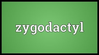 Zygodactyl Meaning [upl. by Reahard]