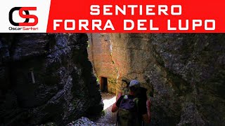 FORRA DEL LUPO da Serrada al Forte Dosso delle Somme [upl. by Nnil354]