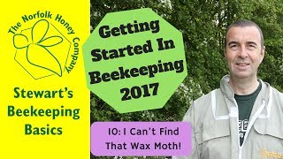 Getting Started in Beekeeping  A weekly Inspection I cant find that Wax Moth [upl. by Aniluap]