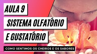 Videoaula 9 Sistema olfatório e gustatório  COMO SENTIMOS OS CHEIROS E OS SABORES [upl. by Had]