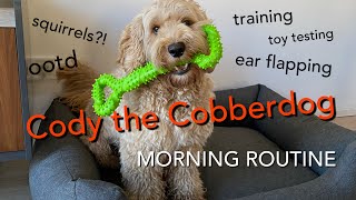 Cody the Cobberdog  MORNING ROUTINE [upl. by Aubree]