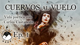 Cuervos al vuelo  Ep 1  Vida poética con Carlos Castaneda  Sara E Alatorre  Chavenato [upl. by Aretse]