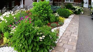 See Our Front yard Tiny Garden Plants and Flowers Its Blooming garden gardening flowers new [upl. by Willett]