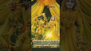 Radhe teri chunari sitaro jadi radhe shyam stutus 🙏🙏❤️tranding shortvideo bhaktisong viralvideo [upl. by Harras]