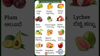 Kannada Fruit Names With English Meaning  fruitnames spokenenglishinkannada viral shorts [upl. by Yebba]