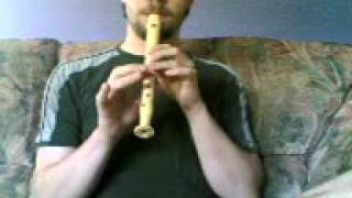 Donkey Kong Country  Main Theme on recorder flute flauta dulce [upl. by Fayth]