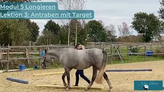 Modul 5 Longieren Lektion 3 Antraben mit Target [upl. by Inaja24]