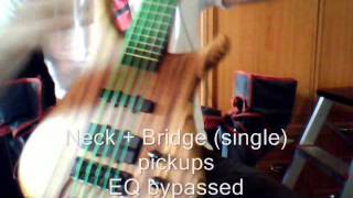 Warwick Infinity SN TCS  Fingerstyle demo [upl. by Miksen]