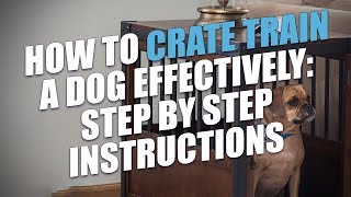 How to Crate Train a Dog Effectively StepbyStep Instructions [upl. by Enyala609]