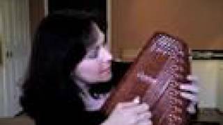 Autoharp Avenue  Chromatic vs Diatonic [upl. by Ailemor981]