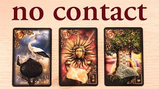 NO CONTACT REGRETS FEELINGS THE FUTURE PICK A CARD TIMELESS TAROT READING [upl. by Giacinta]