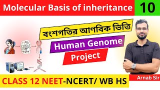 Molecular Basis of Inheritance 10  Human Genome Project  in Bengali  Class 12th NEET Biology [upl. by Legim840]