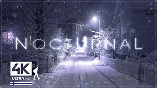 3 Hours of Pure Heavy Snowfall Night Walks in Finland  Slow TV 4K [upl. by Nuhs]