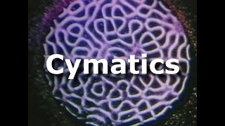 Cymatics full documentary part 1 of 4 Bringing matter to life with sound [upl. by Aerbma26]