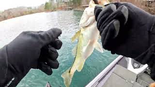 Lake Keowee Springtime Spotted Bass fishing [upl. by Danforth589]