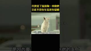 小伙只是给了流浪狗一串烧烤，不料至此以后天天上下班都有空车位，结果还促成了一段姻缘 [upl. by Kcuhc]