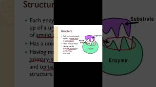 Unlocking Enzyme Power Active Site amp Structure Explained [upl. by Cower]