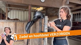 HOW TO Zadel en hoofdstel verzorgen  5  EPPLEJECK [upl. by Odinevneib434]