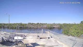 Live Florida Streaming Cam  D and D Bait and Tackle Marina  Matlacha florida webcam [upl. by Francesco]