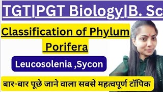 Classification of PoriferauptgtpgtbiologyclasesTGTPGT BiologyBsc amp MSc biologyBy Priyal bhati [upl. by Griffis]