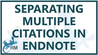 Endnote separating multiple citations in the same set of brackets [upl. by Archle]