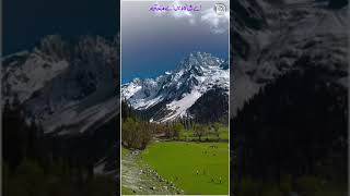 Al Quran Al bayan shorts video 💖💝🥀🥀😱 [upl. by Chambers588]