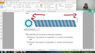 general histology revision  microtubules and epithelium [upl. by Enovad]