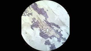 Pleochroism and color tutorial Optical mineralogy [upl. by Lyndel]